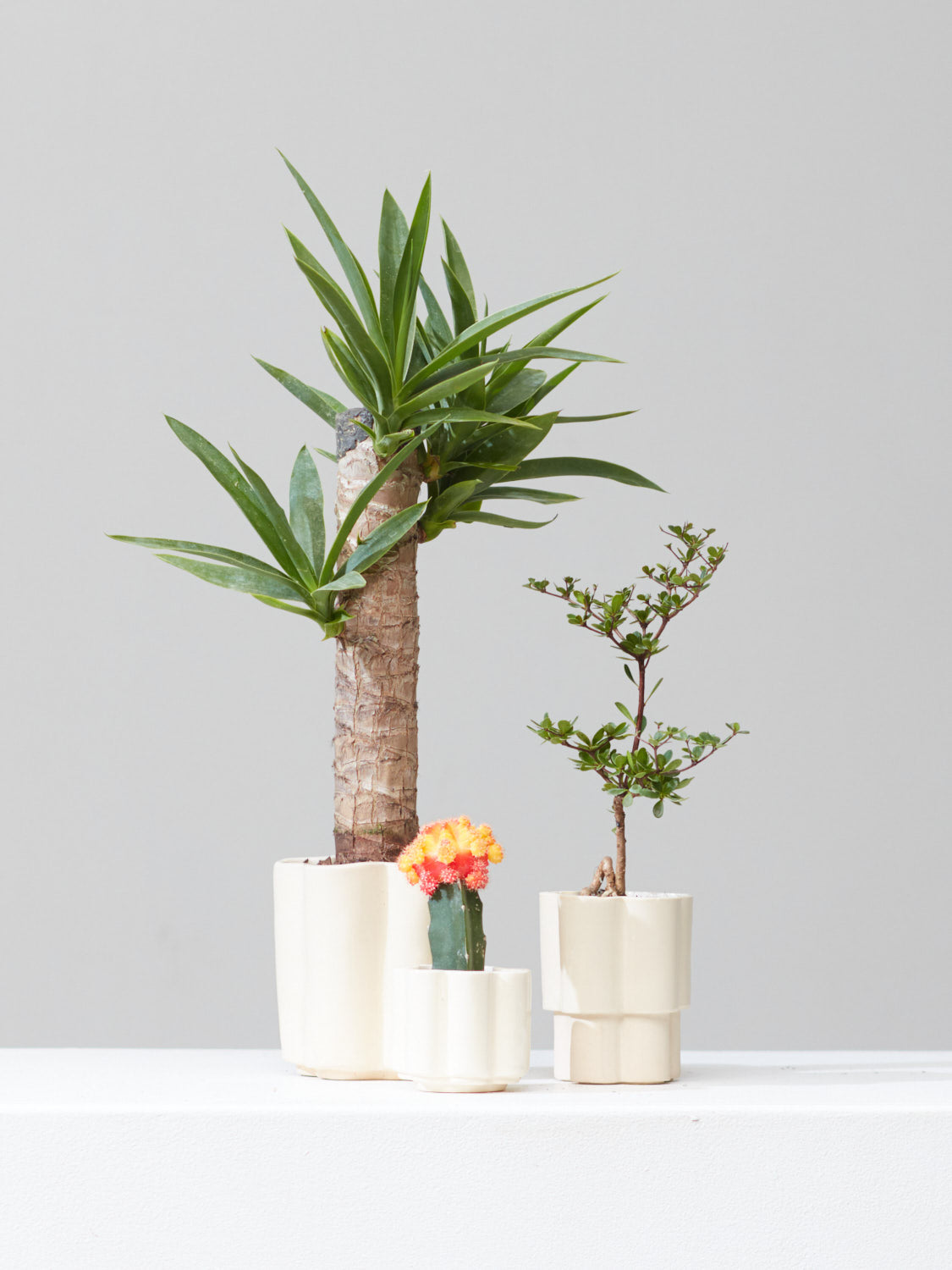 *PRE-ORDER* HIGH NOON ARTIST EDITION PLANTER - OAT MILK, Small 3 Inch