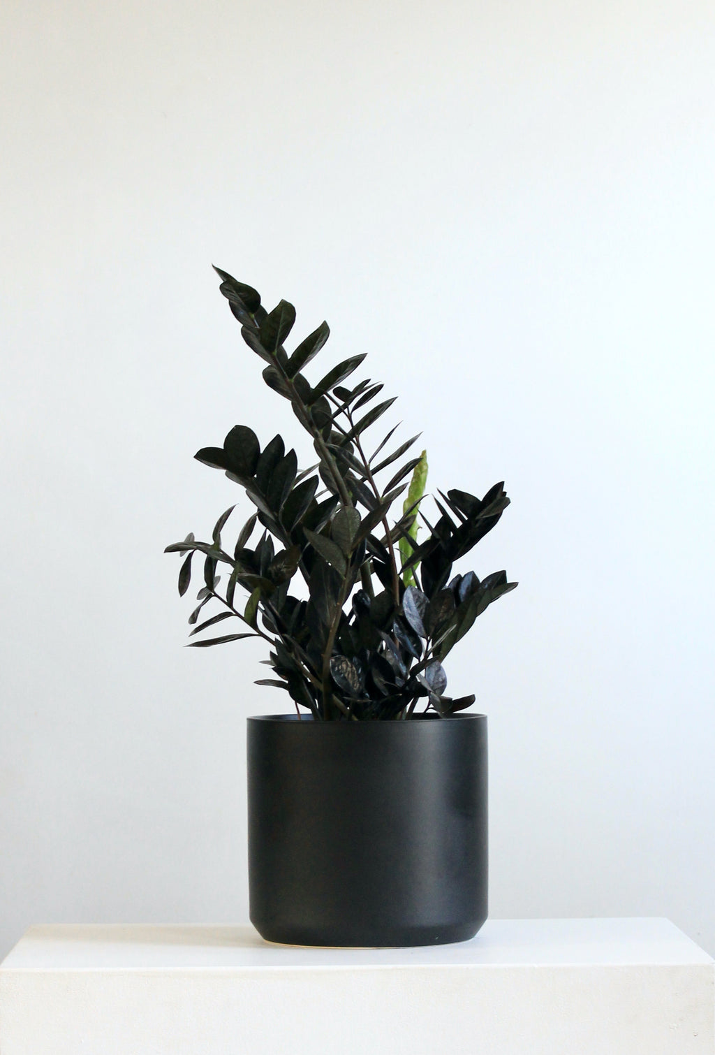 Kendall Ceramic Pot | 10 inch Nursery Pot