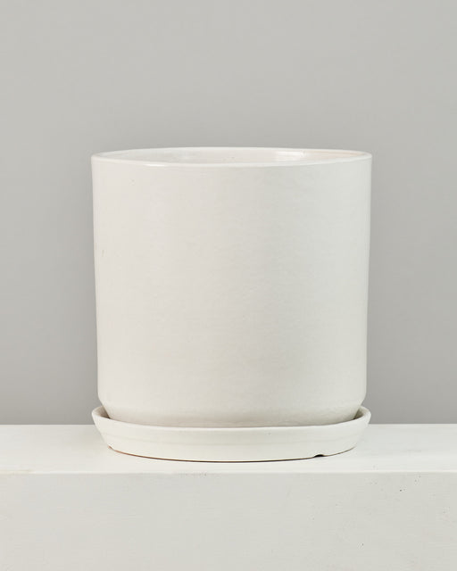 CALIFORNIA PLANTER COLLECTION: MATTE WHITE TWO PIECE CERAMIC Large 15 Inch