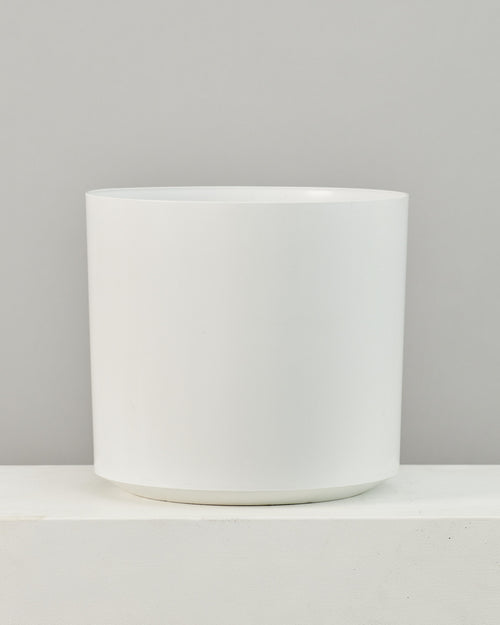 Atlas Plastic Planter in 16 inch | 14 inch Nursery Pot