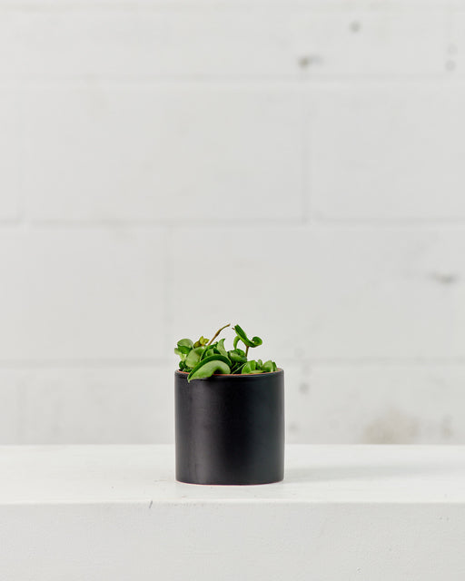 CERCLE PLANTER Matte Black, Small 4.25 Inch