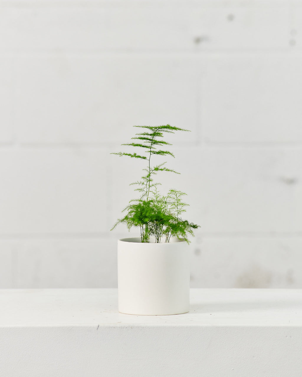 Cercle Pot | 4 inch Nursery Pot