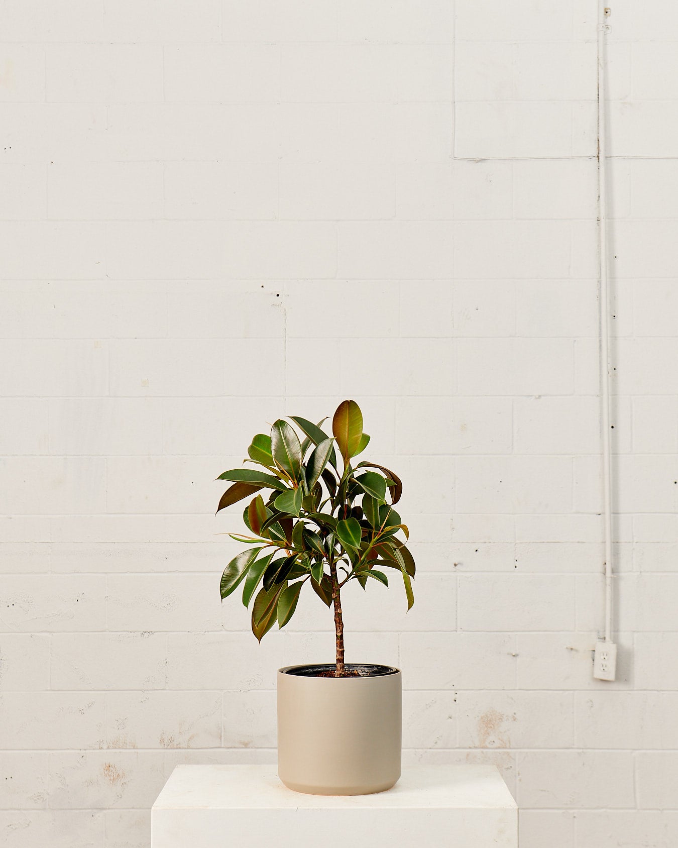 Kendall Ceramic Pot | 10 inch Nursery Pot