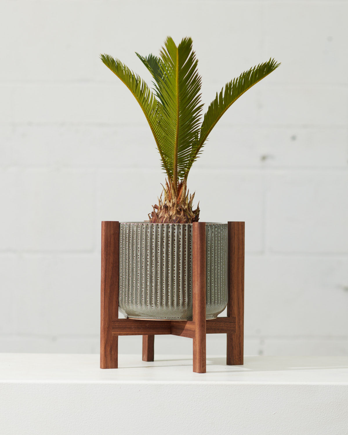PARCEL STAND - WALNUT - Small 7 Inch