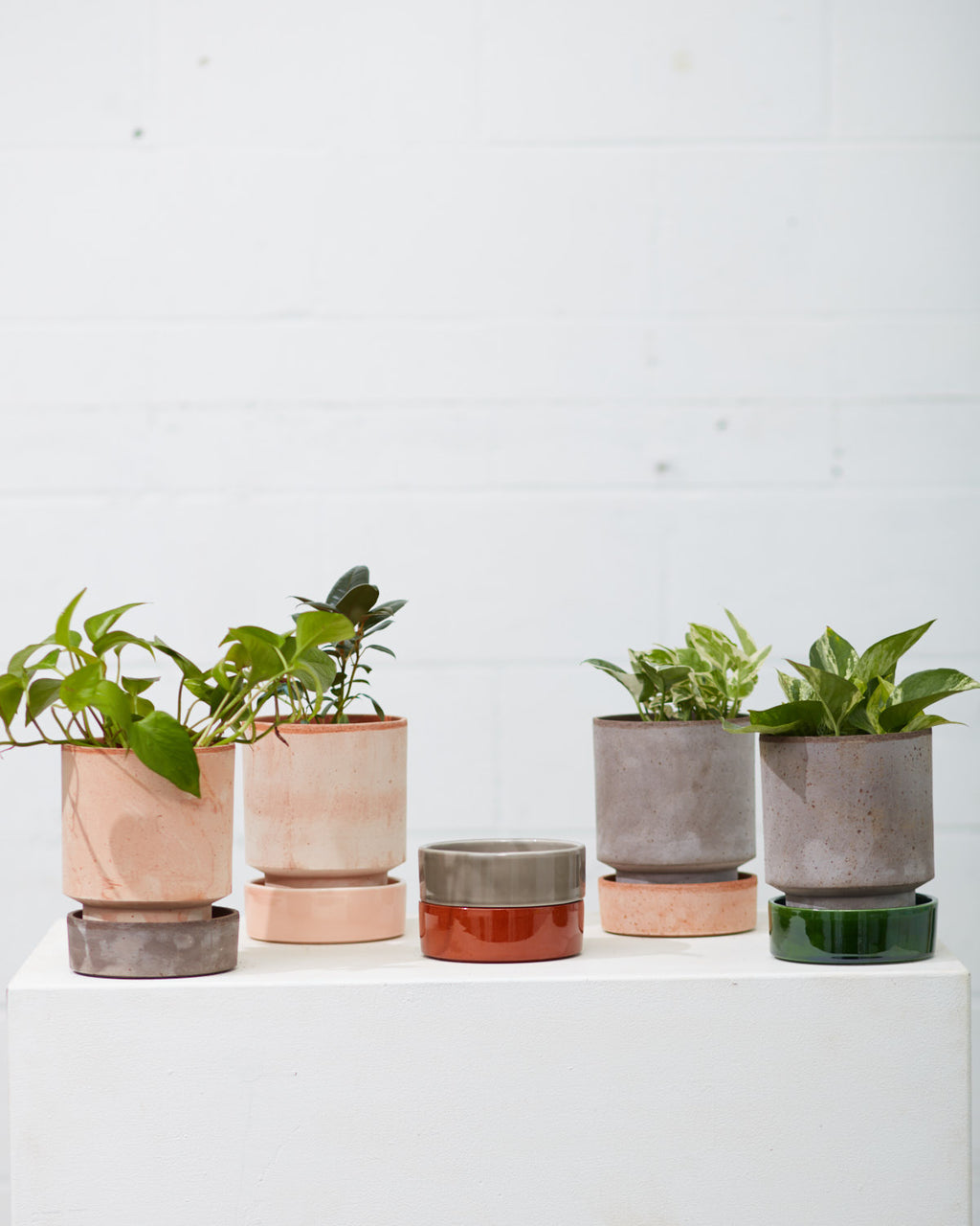 5.5 Inch BERGS POTTER 'HOFF' ANTIQUE ROSA SET