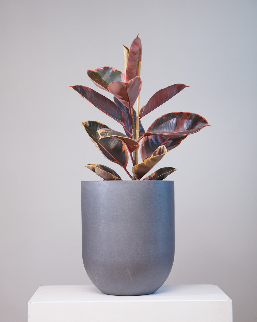 Leith Granite Slate Planter | 12 inch Nursery Pot