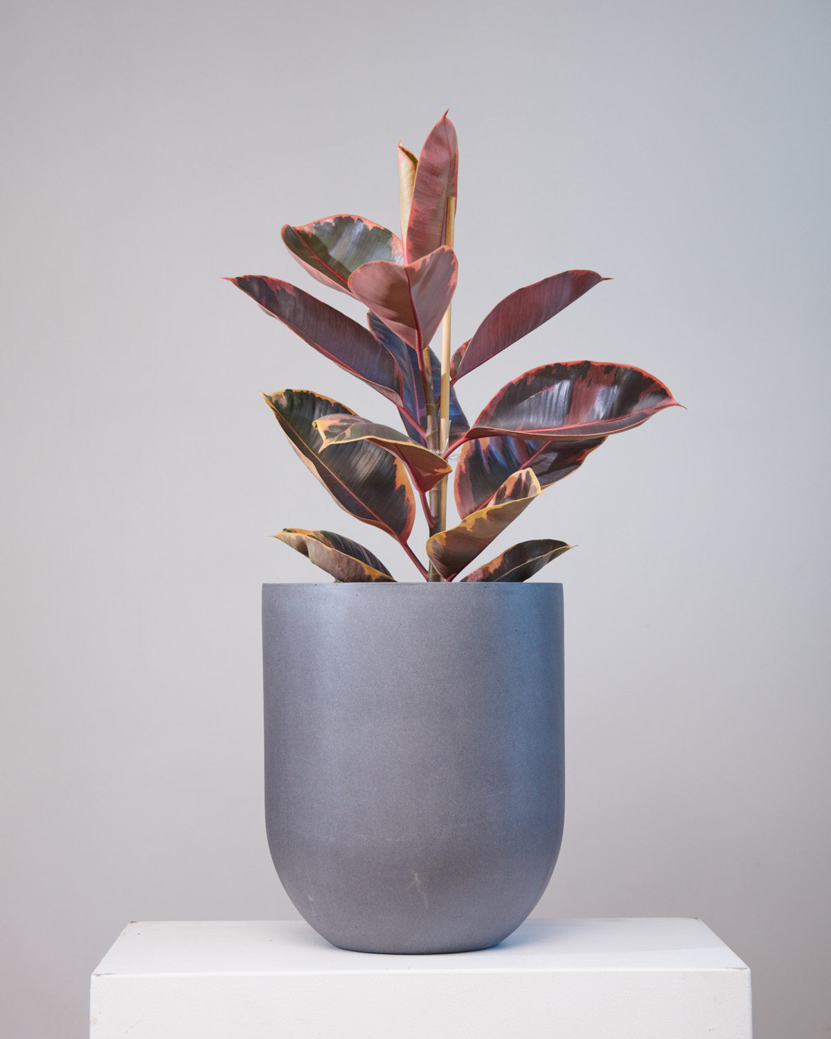 Leith Granite Slate Planter | 12 inch Nursery Pot