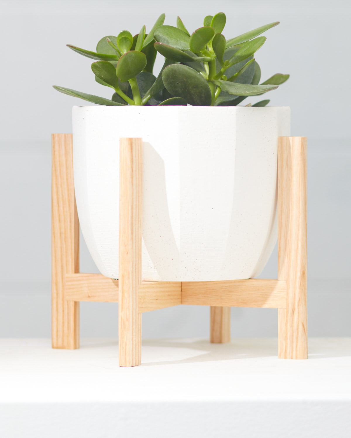 PARCEL STAND - ASH - Small 7 Inch