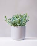 SEMI-GLOSS GREY PLANTER Medium 9.5 Inch