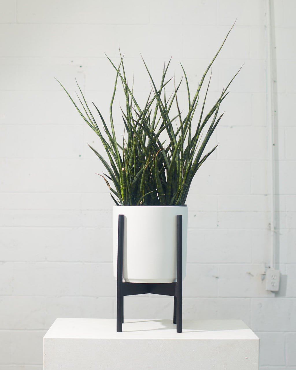 10 Inch REVIVAL CERAMICS WHITE CYLINDER WITH BLACK STAND - Medium