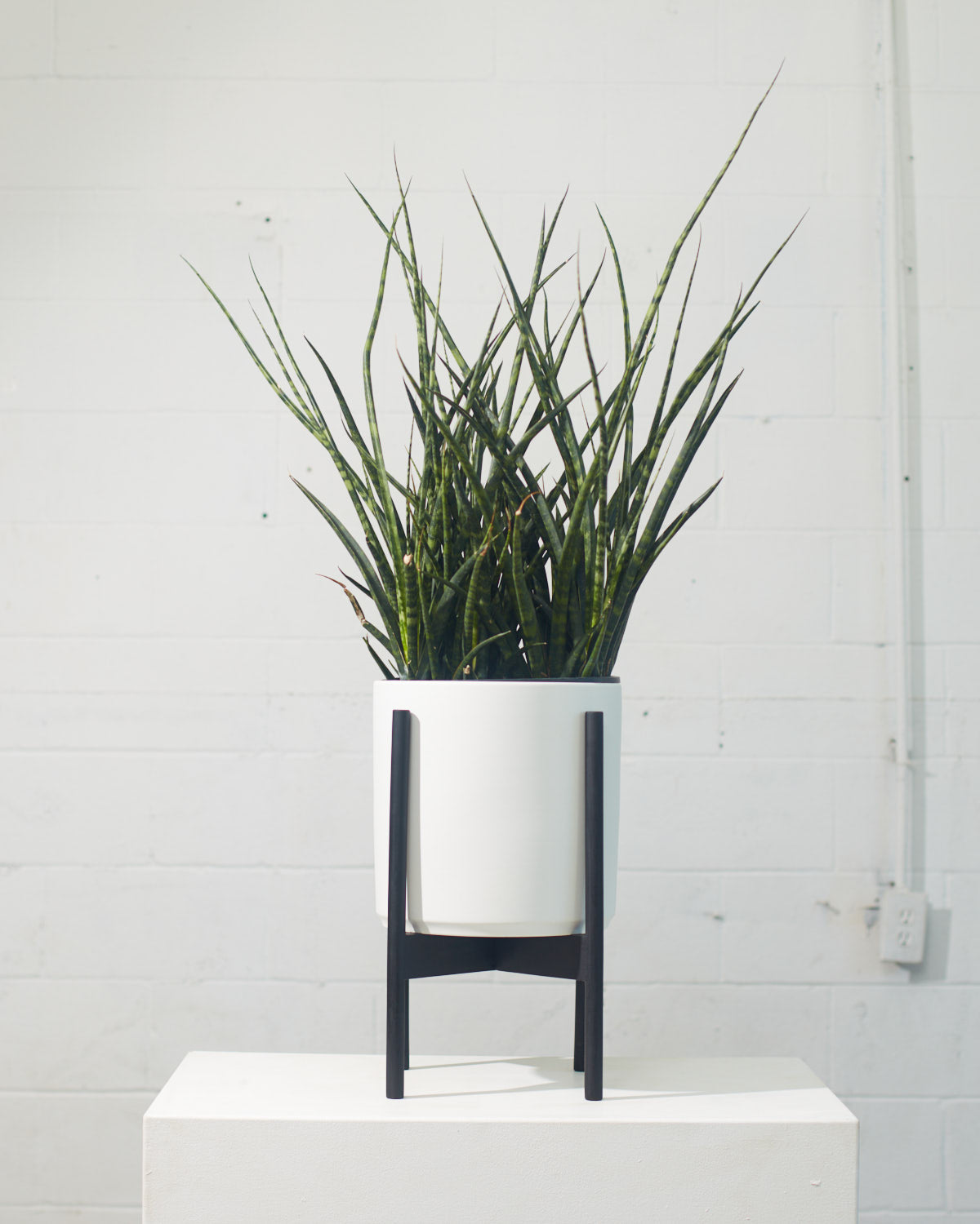 10 Inch REVIVAL CERAMICS WHITE CYLINDER WITH BLACK STAND - Medium