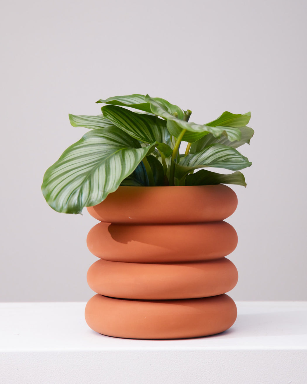 AREAWARE STACKING PLANTER Tall Terracotta 8 Inch