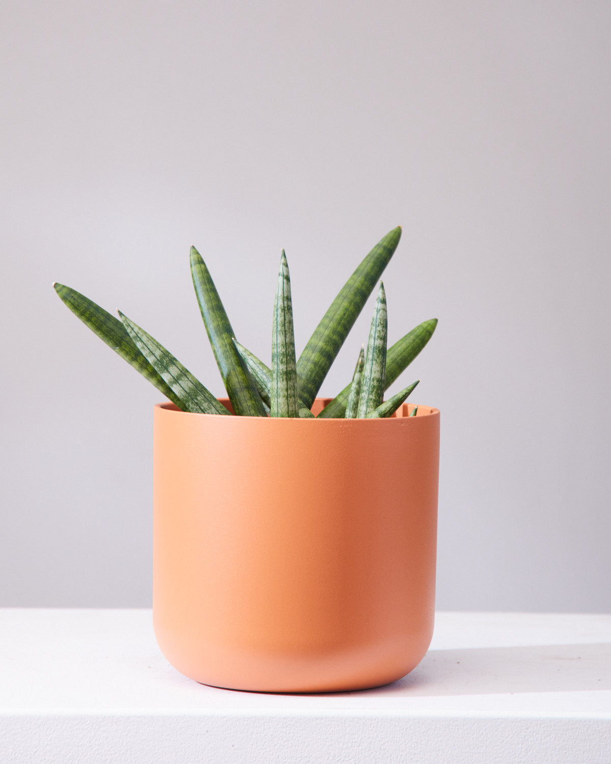 CERAMIC PLANTER Small 7 Inch