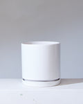 White California Pot with Drainage and Tray | 12 inch Diameter