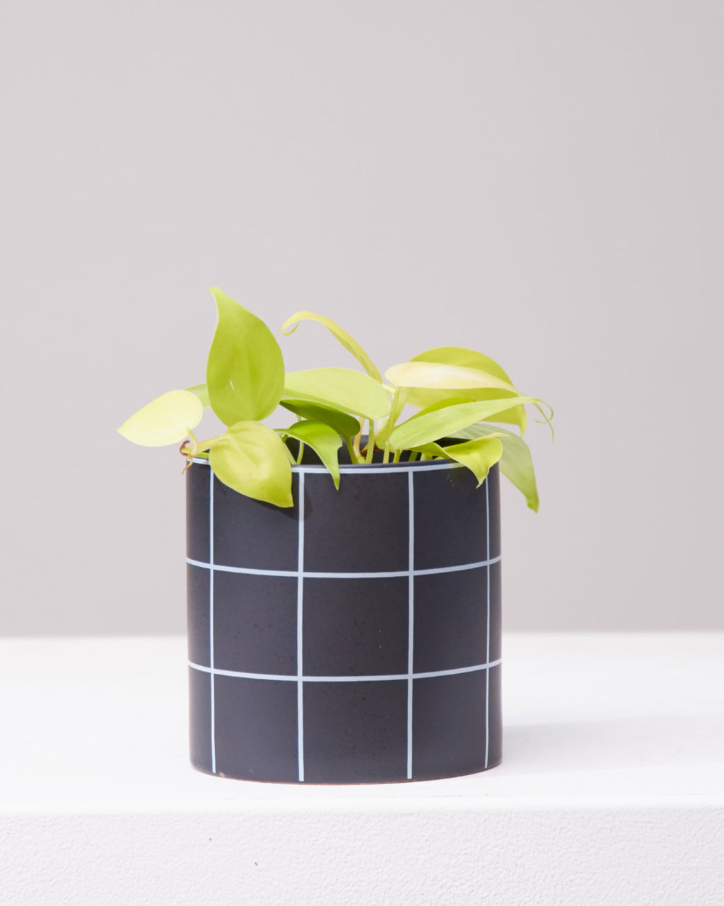 Pepper Ceramic Black Planter | 4 inch Nursery Pot