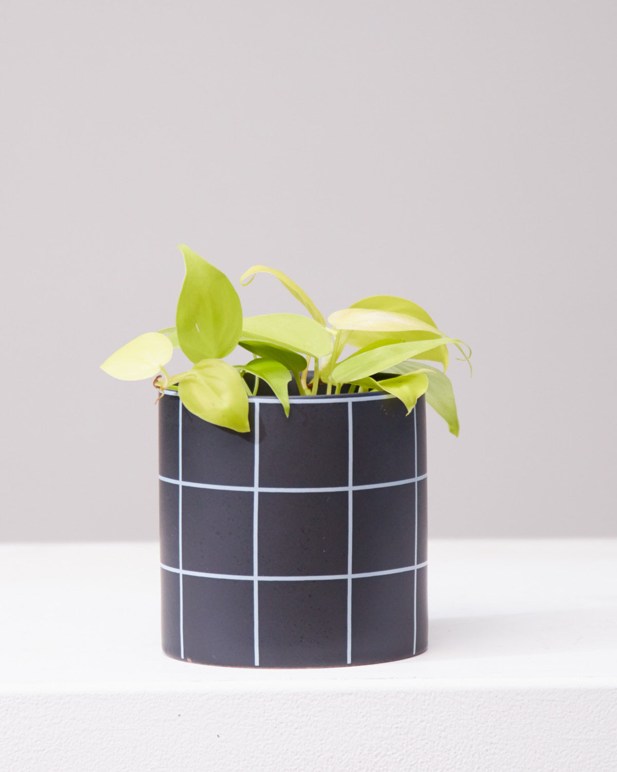 Pepper Ceramic Black Planter | 4 inch Nursery Pot