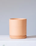 California Pot with Drainage and Tray | 6 inch Diameter
