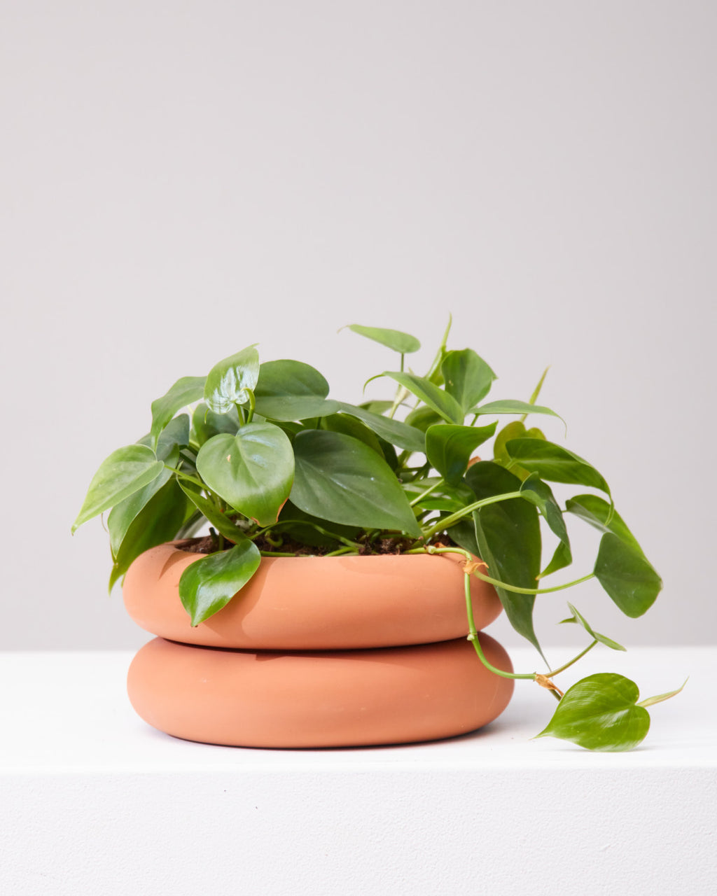 AREAWARE STACKING PLANTER Short Terracotta 8 Inch