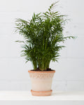 6.3 Inch BERGS POTTER 'COPENHAGEN' ANTIQUE ROSA