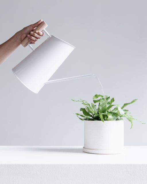 WHITE WATERING CAN - TALL