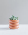 Bubble Ceramic Pot | 4 inch Nursery Pot