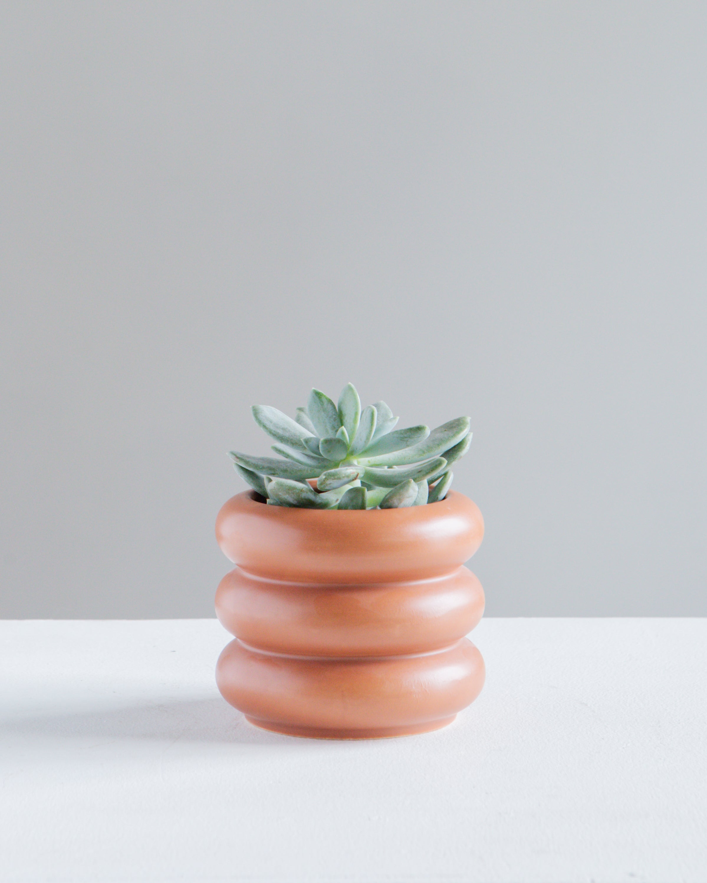Bubble Ceramic Pot | 4 inch Nursery Pot