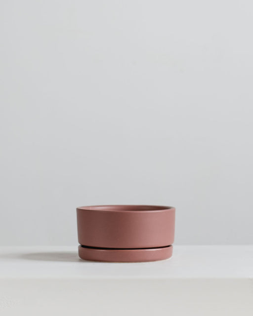 Small 6 Inch MOMMA POTS LOW BOWL - DUSTY ROSE