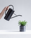 BLACK WATERING CAN - TALL