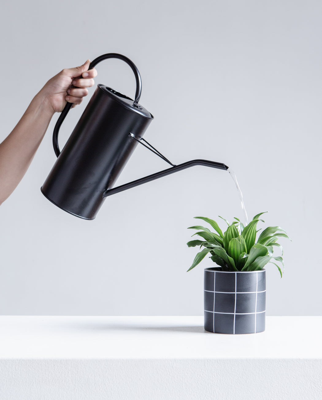 BLACK WATERING CAN - TALL